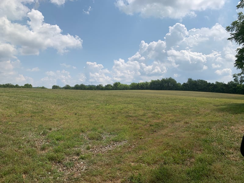 1370 Littleton Ranch Rd, Castalian Springs, TN 37031