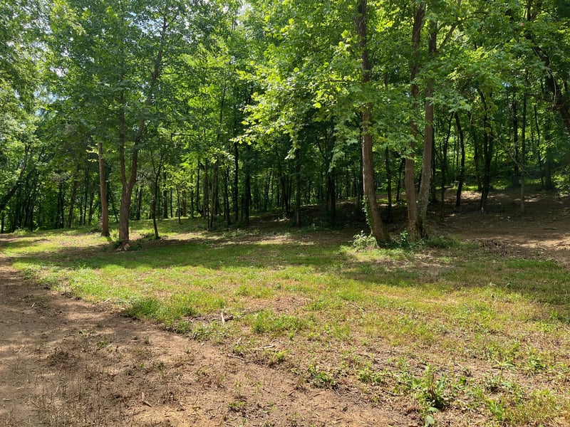 135 Dillehay Hollow Rd, Pleasant Shade, TN 37145