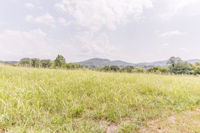 0 Tulloss Rd, Franklin, TN 37067