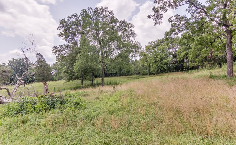 0 Tulloss Rd, Franklin, TN 37067