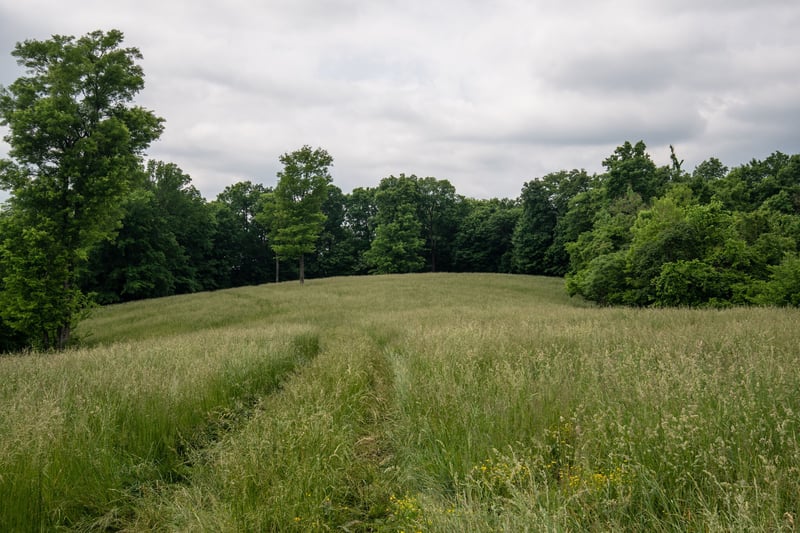 3854 Hampshire Pike, Hampshire, TN 38461