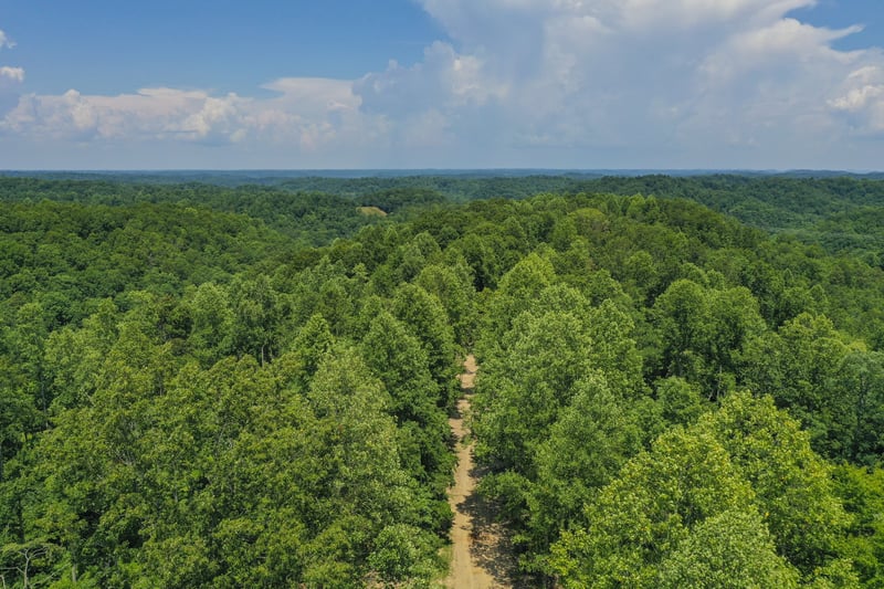 1 Magnolia Farms, Pegram, TN 37143