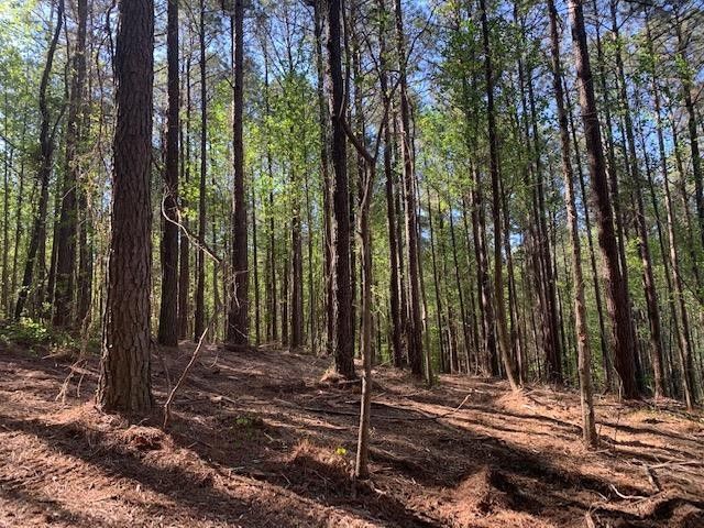 33 Crow Rd, Dalton, GA 30721