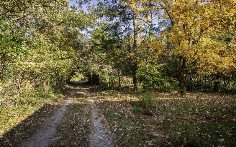 11133 S Highway 11, Trenton, GA 30752