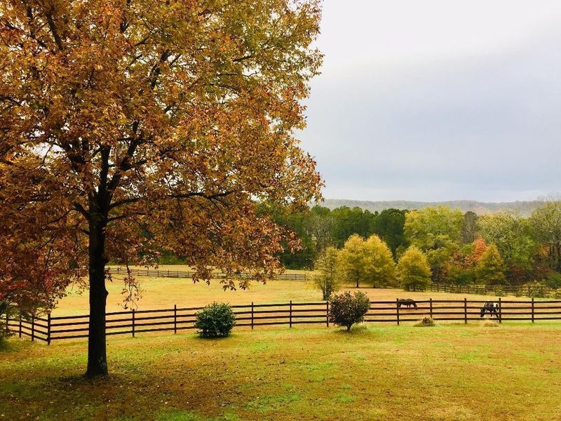 235 Catlett Rd, Rock Spring, GA 30739