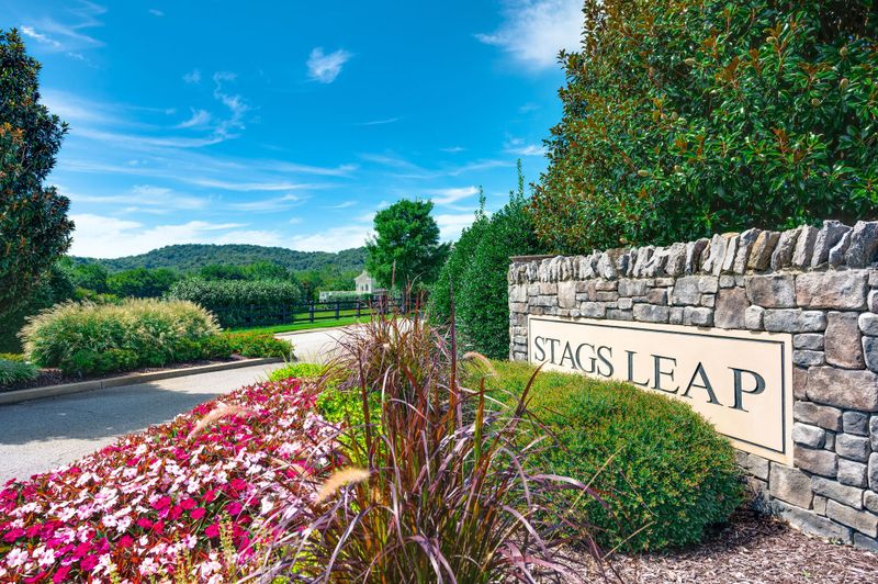 6029 Stags Leap Way, Franklin, TN 37064