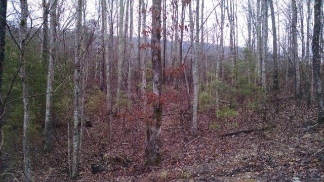 0 Hurricane Rd, Rocky Face, GA 30740