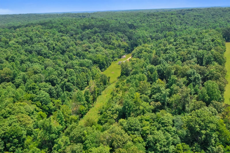 1010 Little Leatherwood Rd, Vanleer, TN 37181