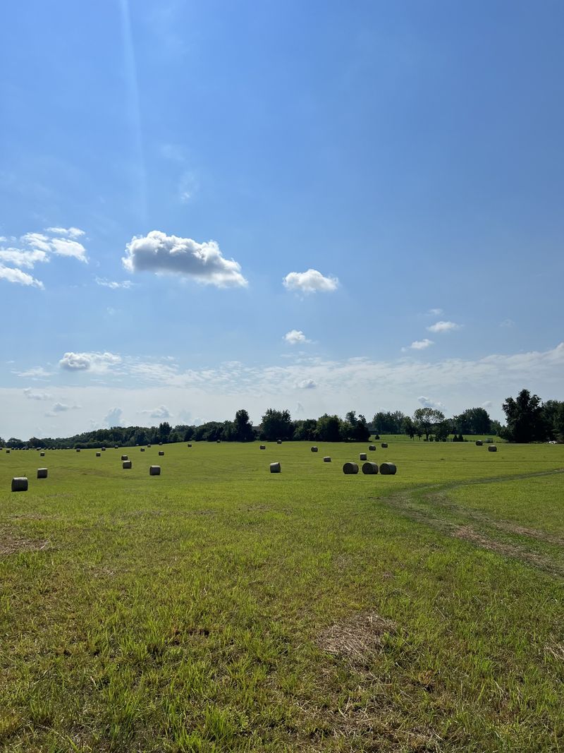 0 Cages Bend Rd, Gallatin, TN 37066