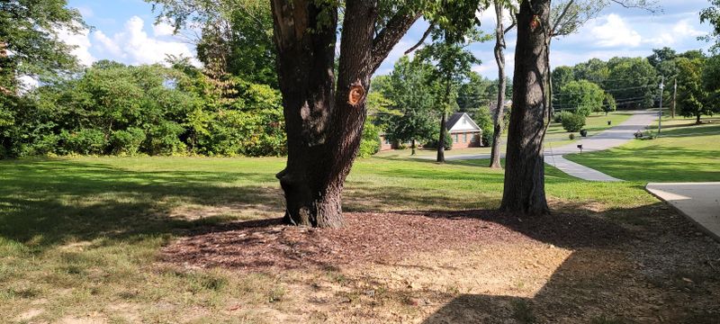 3533 Forest Park Rd, Springfield, TN 37172