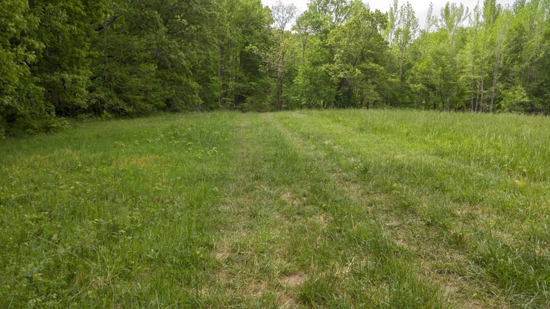 0 Hwy 49 W, Vanleer, TN 37181