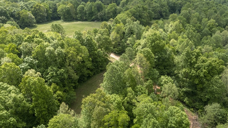 0 Hwy 49 W, Vanleer, TN 37181