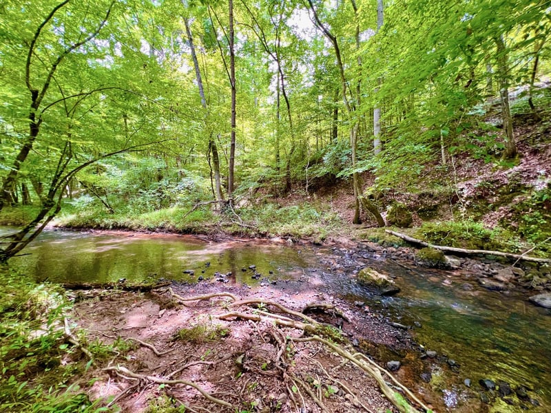 11563 Highway 151, Trion, GA 30753