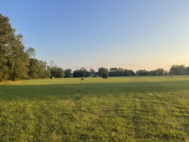 3 Parsons Rd, Christiana, TN 37037