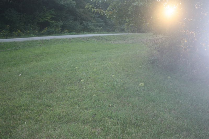 8542 Taliaferro Rd, Eagleville, TN 37060