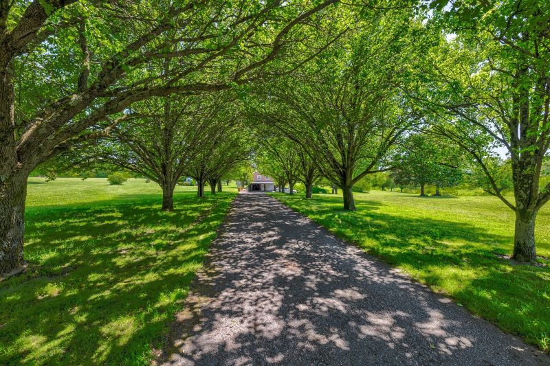 7486 Deer Ridge Rd, Primm Springs, TN 38476