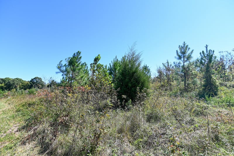 0 Spencer Mill Rd, Bon Aqua, TN 37025