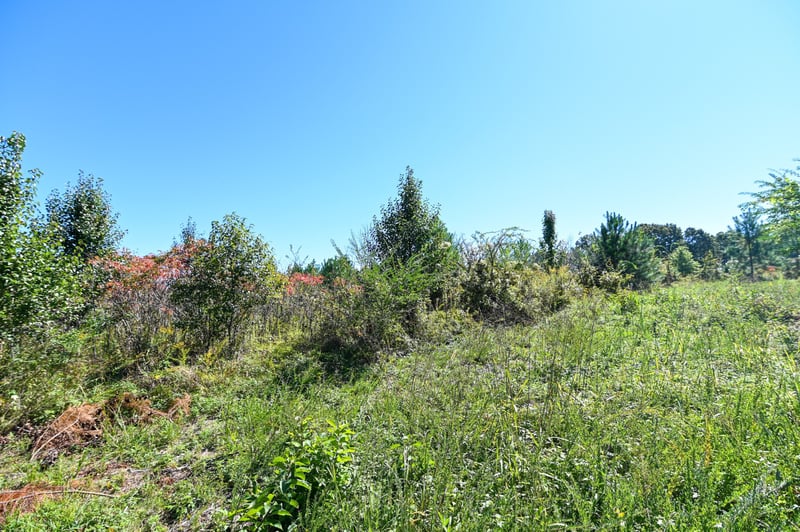 0 Spencer Mill Rd, Bon Aqua, TN 37025