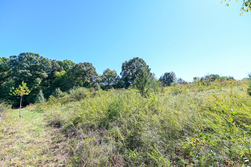 0 Spencer Mill Rd, Bon Aqua, TN 37025
