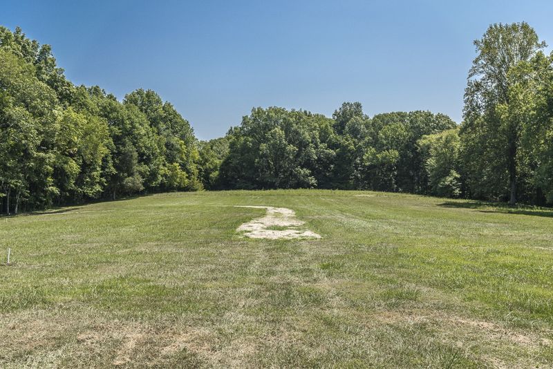 441 Mount Vernon Rd, Bethpage, TN 37022
