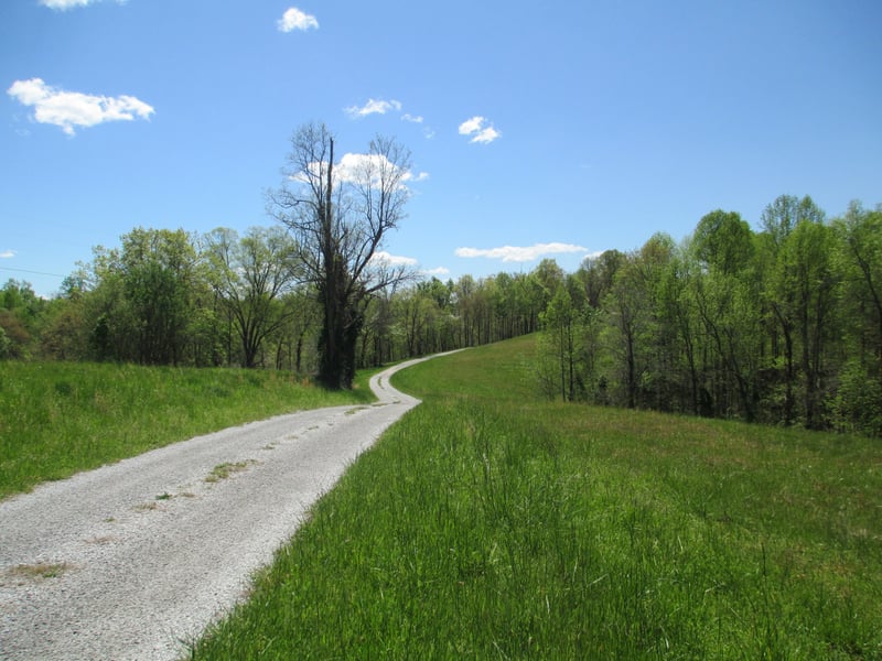 0 Chaffin Ln, Chestnut Mound, TN 38552