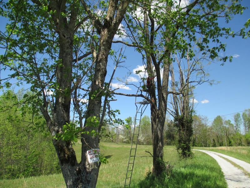 0 Chaffin Ln, Chestnut Mound, TN 38552