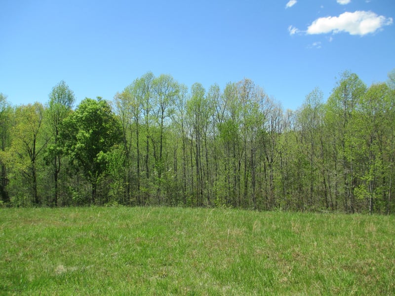 0 Chaffin Ln, Chestnut Mound, TN 38552