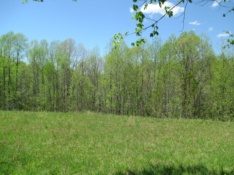 0 Chaffin Ln, Chestnut Mound, TN 38552