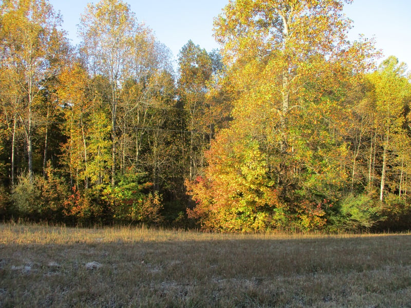 0 Chaffin Ln, Chestnut Mound, TN 38552