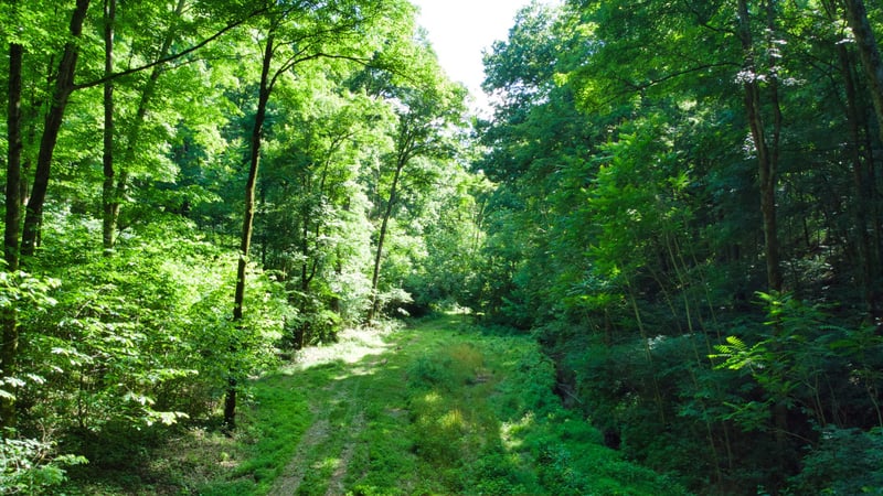 0 Ashland City Hwy, Nashville, TN 37218