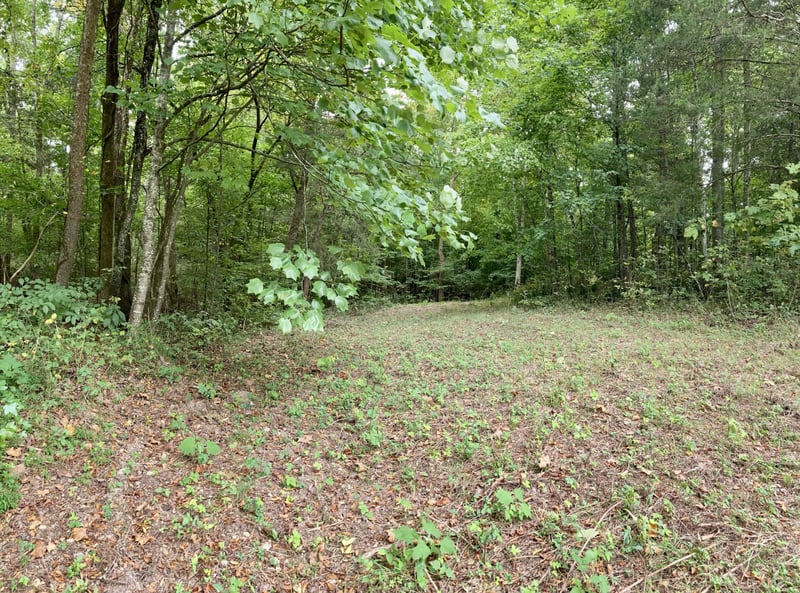 0 Buck Graves Rd, Westmoreland, TN 37186
