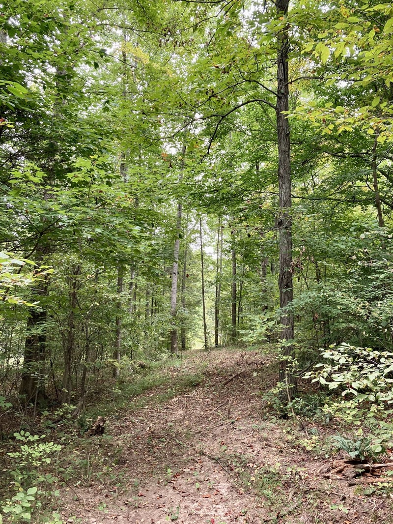 0 Buck Graves Rd, Westmoreland, TN 37186