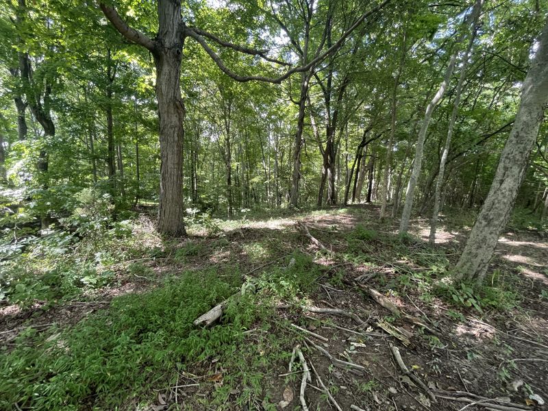 0 Hwy 52e E, Portland, TN 37148