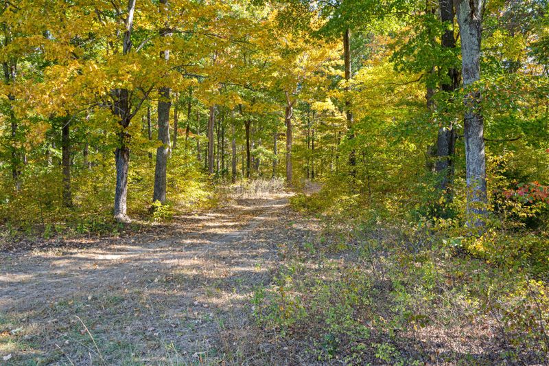 2009 Garners Creek Rd, Dickson, TN 37055