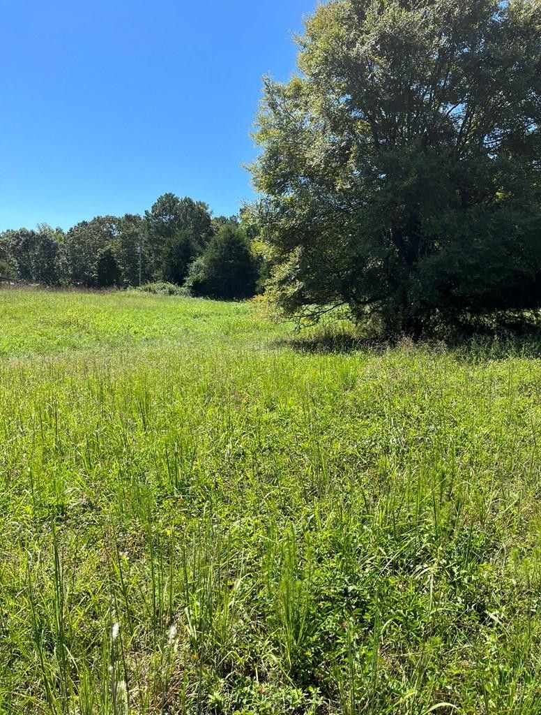 0 Cohutta Beaverdale Rd NE, Cohutta, GA 30710