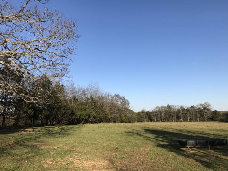 2651 Vesta Rd, Lebanon, TN 37090