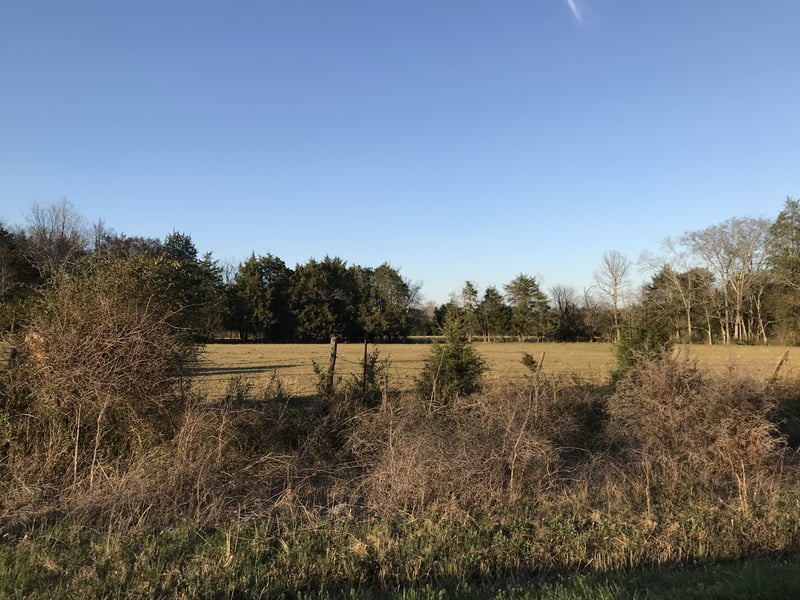2651 Vesta Rd, Lebanon, TN 37090