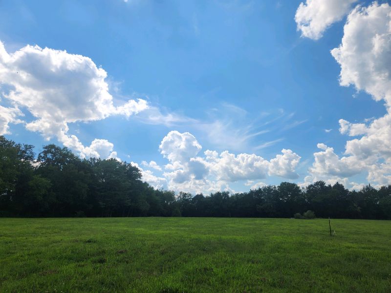 332 Crescent, Murfreesboro, TN 37128