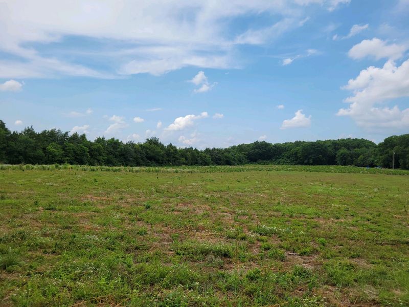 332 Crescent, Murfreesboro, TN 37128