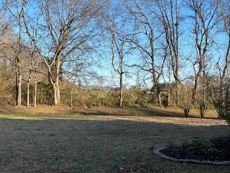 116 Williamson Ct, Murfreesboro, TN 37128