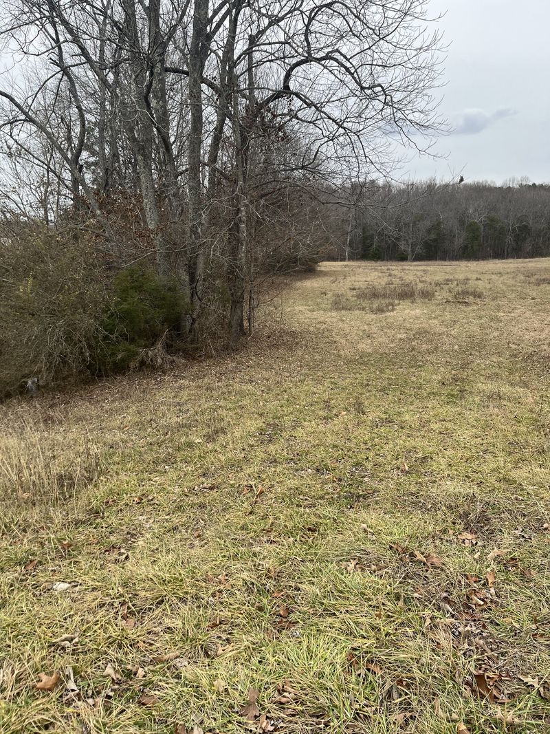 0 Long Rd, Charlotte, TN 37036