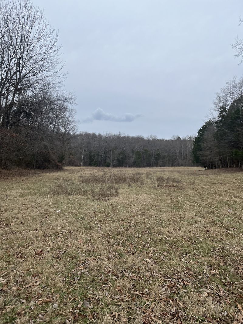0 Long Rd, Charlotte, TN 37036