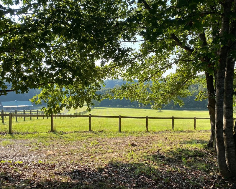 397 Parker Rd, Portland, TN 37148
