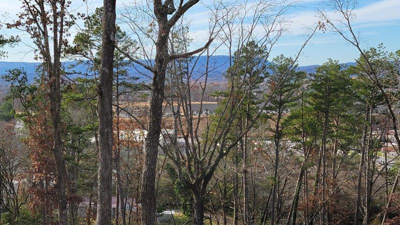 1 Wren Dr Lot 1, Ringgold, GA 30736