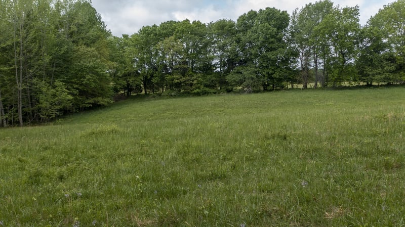 0 Murphy Hollow Rd, Vanleer, TN 37181