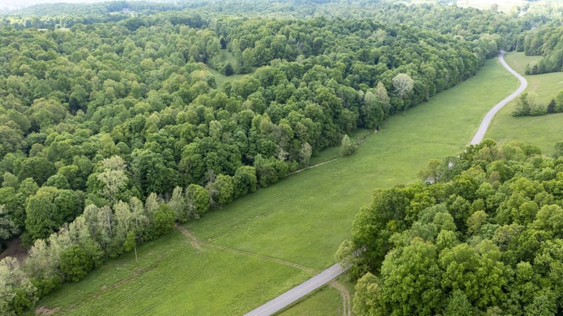0 Murphy Hollow Rd, Vanleer, TN 37181
