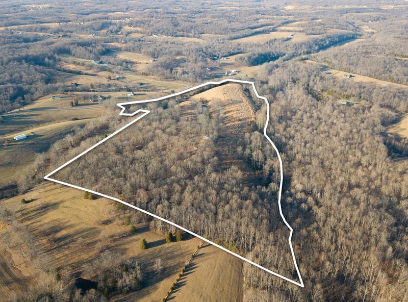 0 Old Mount Vernon Rd, Bethpage, TN 37022