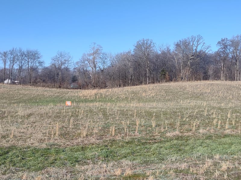 11 Highway161 Lot 11, Springfield, TN 37172