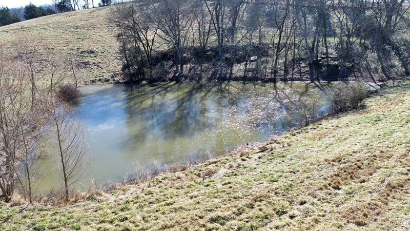 0 Woodard Ln, Pleasant Shade, TN 37145