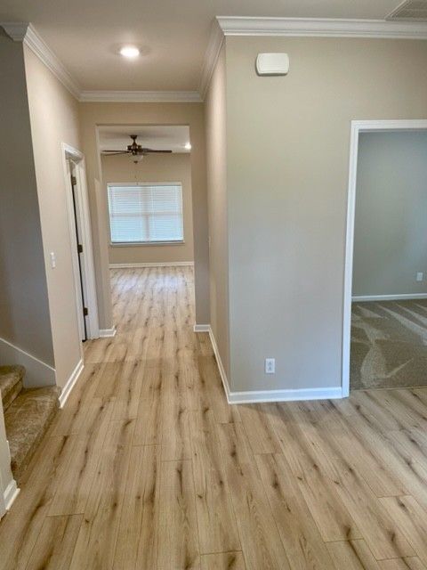 2412 Fig Dr, Murfreesboro, TN 37127